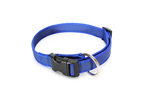 JULIUS-K9-Color-Gray-Collar