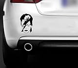 David Bowie Ziggy Stardust CAR VAN STICKER CAR BOAT WINDOW VINYL DECAL