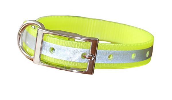 dayglo dog collars
