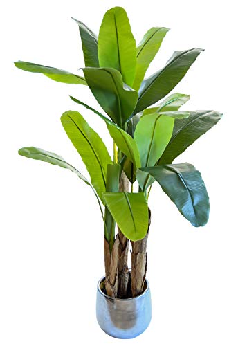 Bananera Artificial, Elaborados con los Mejores Materiales, Ideal para Decoración de hogar, Planta Artificial (150 cm)