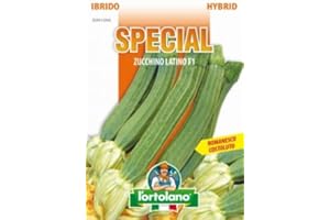 L'ORTOLANO Sementi di ortaggi ibride e selezioni speciali ad uso amatoriale in buste termosaldate (80 varietà) (ZUCCHINO LATINO F1)