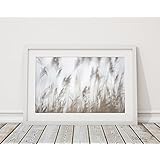 Fotodruck Fine Art Print 