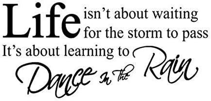 MJATOP Letters Wall Arts Words Wall Stickers About Sayings Quotes Wall Decals for Home Party Wall Decorations (Life.Dance in The rain)