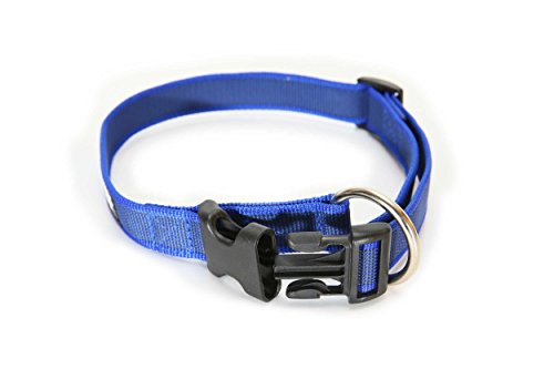 JULIUS-K9-Color-Gray-Collar