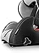 Recaro Young Sport Hero Group 123 Car Seat - Graphite