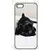 Produktbild schwarze Mops-Welpen M0L92T9MC iPhone 5 5s Fall Hülle schwarz KNPV5P