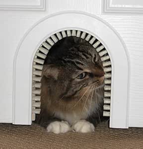 amazon cat door