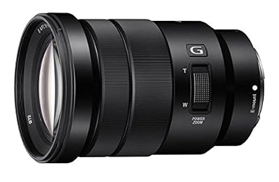 Sony objectif hybride sony 18-105 mm f/4 g motorisé
