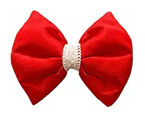 For The Fur Kids Red Silk Dog Bow Tie with Lace: Valentine's Day Accessory for Pets
