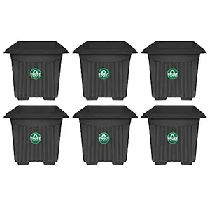 TrustBasket UV Treated Square Plastic Planter (10 inches) - Black Color- Set of 6