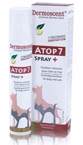 Encima 7 Perros aerosol 75ml