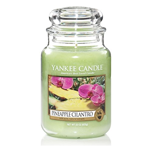 Yankee Candle Classic Housewarmer Gross, Pineapple Cilantro, Duftkerze, Raum Duft im Glas / Jar, 1174261E