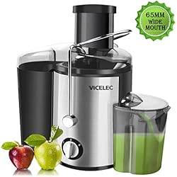 Extracteur de jus de fruits et légumes en acier inoxydable VICELEC 600 W Centrifugeuse avec une bouche large de 65 mm, 2 vitesses en acier inoxydable avec pieds antidérapants, sans BPA.