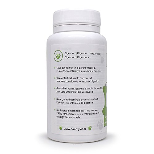 Aloe-vera-por-dogs-pet-care-gastrointestinal-dog-food-dog-stomach-problems-gastrointestinal-cat-food-cats-care-digestive-problems-in-dogs-dog-stomach-ache-aloe-vera-for-pets-aloe-vera-dogs-DAONLY
