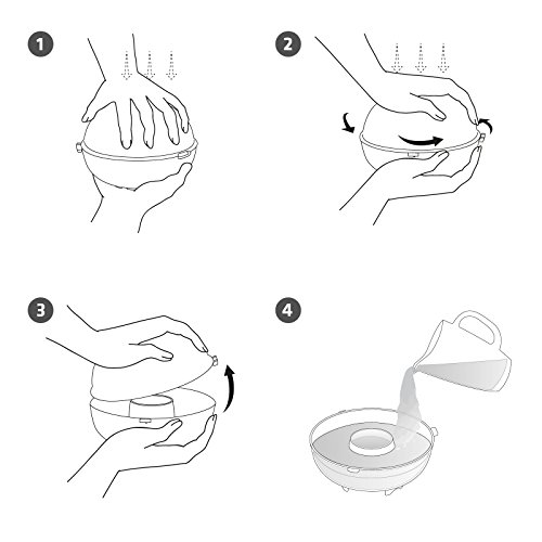 GARDIGO WESPENFÄNGER 2ER - 2