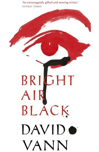 Bright Air Black Amazon De Vann David Fremdsprachige Bucher amazon de