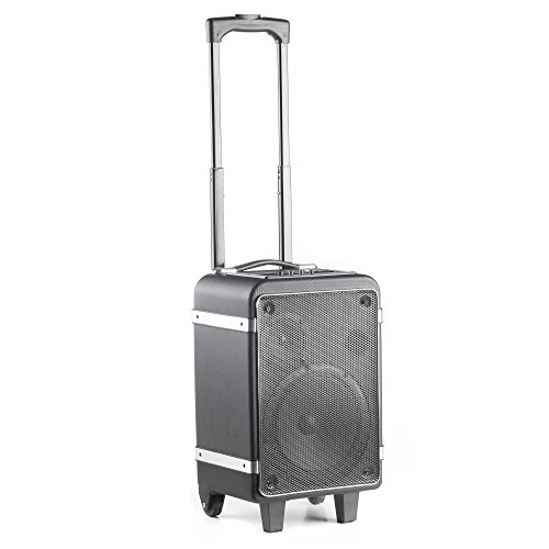 NGS Wild Funky - Altavoz port  til con Bluetooth