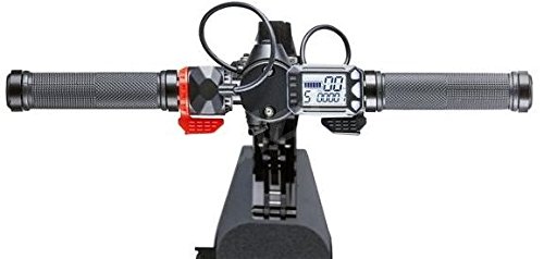 GOCLEVER City Rider Black 5 LG Akku E Bike Scooter Elektroroller LED-Beleuchtung LCD-Display LG Akku 6,6Ah 250W 20 km/h - 4