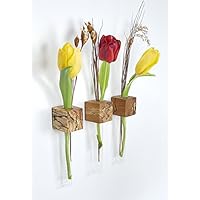 Fenstervase Buche gestockt Blumenvase