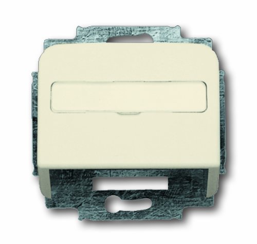 Preisvergleich Produktbild Busch-Jaeger 1758-212 Zentralscheibe