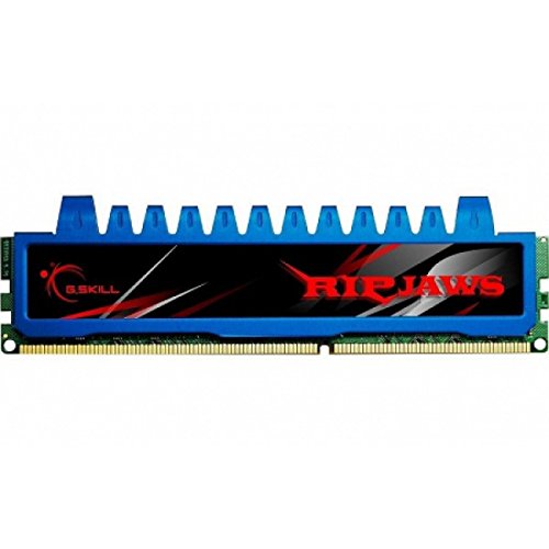 G.Skill Ripjaws 8 GB
