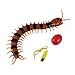 Produktbild Dailyinshop Elektrische Infrarot RC Centipede gefälschte Insect Electric Tricky lustige Katze Hund Spielzeug (Farbe: Schwarz & Orange)