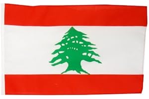 Digni® Drapeau Liban 30 x 45 cm