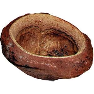 Namiba Terra 389 5 Sapucaja - Näpfe klein im Beutel, Durchmesser circa 10 cm