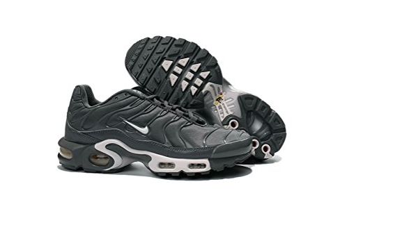 air max tn grise