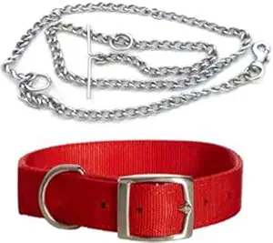 Pedigone Nylon 1 inch Red Dog Collar with Dog Chain 1.5m lengthy Dog Collar & Chain Dog Belt for All Pet Dogs.