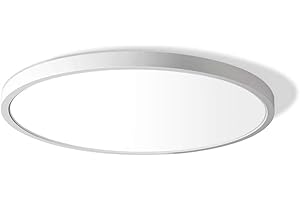 LIGHTINGWILL 12in/30cm 24W LED Flush Mount Ceiling Light, 5000K Daylight White Bathroom Light, 3200LM, White Round Ceiling Lights, 240W Equivalent Ceiling Lamp for Closets, Kitchens, Hallway, Bedrooms, etc.