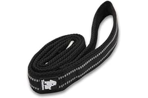 WINHYEPET True Love Dog Leash Nylon Reflective Comfortable Handle Lead Puppy Training Walking Rope Easy Control Suitable Small Medium Large Breeds 110cm Length TLL2111(Black,M)