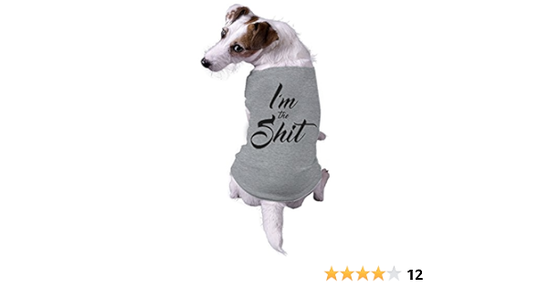 dog tee shirts amazon