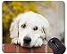 Produktbild Naturkautschuk-Gaming-Mauspad Mit goldenem Haar für Hundegehäuse gedruckt - Genähte Kanten
