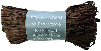 Maildor 196073C Pelote raphia naturel 50g Couleur Chocolat