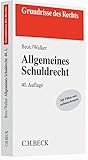 Allgemeines Schuldrecht (Grundrisse des Rechts)