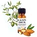 Nail & Cuticle Care Oil 10mls