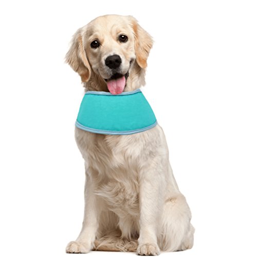 afp chill out bandana