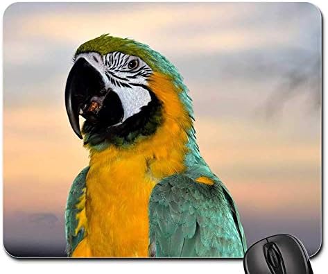 Rectangle Non-slip Rubber Mouse Pad(9.45x7.8x0.12 Inches) Macaw Parrot Bird Avian Pet Feathers Beak