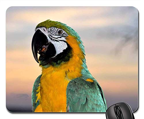 Rectangle Non-slip Rubber Mouse Pad(9.45x7.8x0.12 Inches) Macaw Parrot Bird Avian Pet Feathers Beak