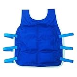 Augproveshak Adult Cooling Vest, Ice Pack Vest for Summer Outdoor Hiking Riding Fishing Adjustable Cooling Vest for Men and Women