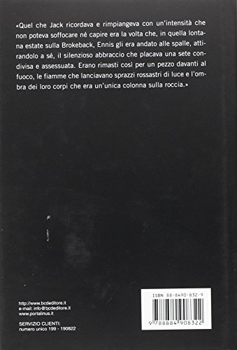Book's Cover of I segreti di Brokeback Mountain
