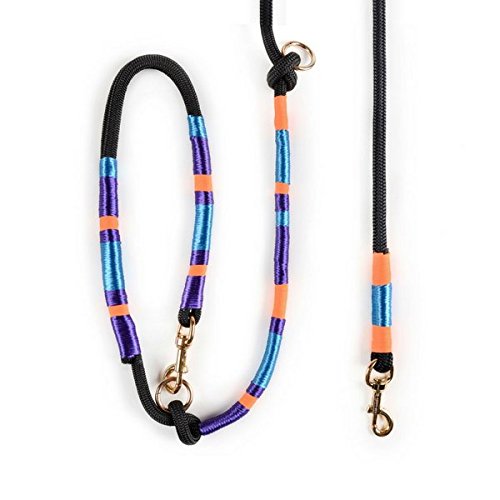 Preisvergleich Produktbild Hund Leine / Midnight