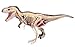 Price comparison product image No.22 T-REX anatomical model three-dimensional puzzle 4D VISION animal anatomy (japan import)