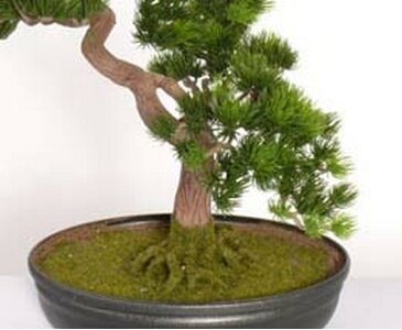 künstlicher Japanischer Pinien Bonsai, mit ca.318 Blättern, Höhe ca. 40cm – künstlicher Bonsai - 3