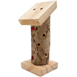 Wildlife World Minibug Tour de Coccinelle pour Enfants