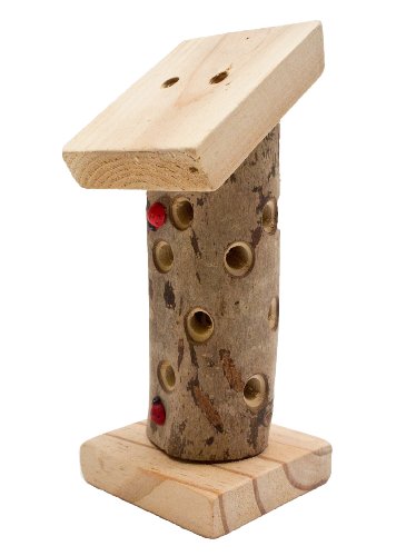 Wildlife World Minibug Tour de Coccinelle pour Enfants