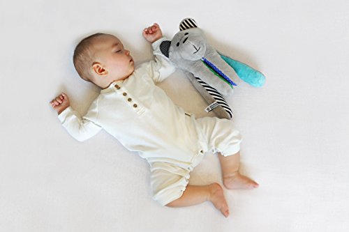 Whisbear – Der summende Bär (zitron) – Stofftier zur Beruhigung Einschlafhilfe für Ihr Baby – ideales Geschenk zur Geburt - 7