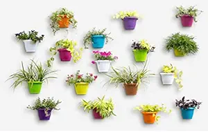 Planters Plastic Plant Pot, Multicolour, 2 Pieces