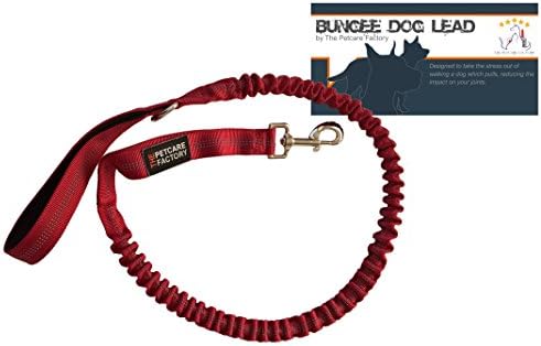 The Petcare FactoryPremium Bungee Dog Lead Dual Handled Bungee Shock Absorbing Lead (Dark Red) - Tough Waterproof Nylon Webbing With Reflective Stitching - Dual Handles for Normal & Close Control